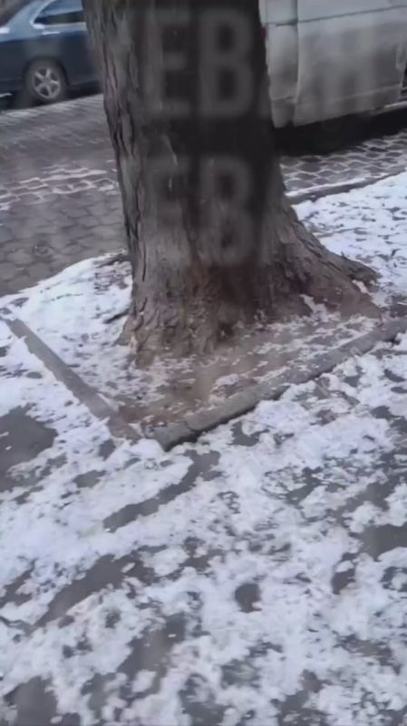 � ������ ������� ������ �������� ��� � ���, ��� �� ����� �����