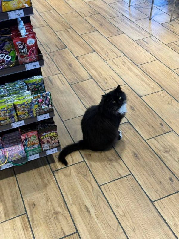 ��� �������� ���� �������� ������ � ������