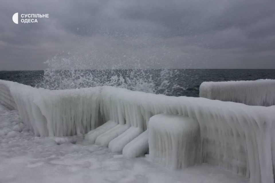 ���������� �����������: � ������ �������� ���������� ������