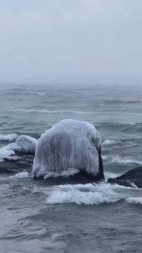 �������� ��� ����� ��������� ��������� ���������