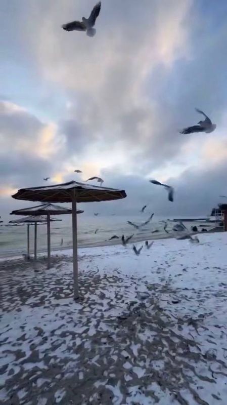 ��� ���?