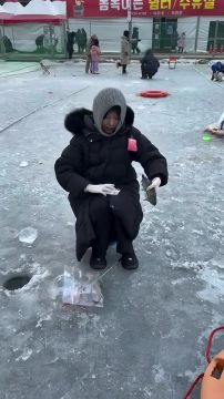 ������ ���� ������ ������ ���� ������ ����