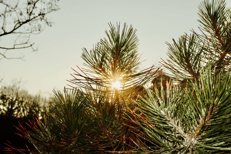 �������� ���� �������� ��� � �����