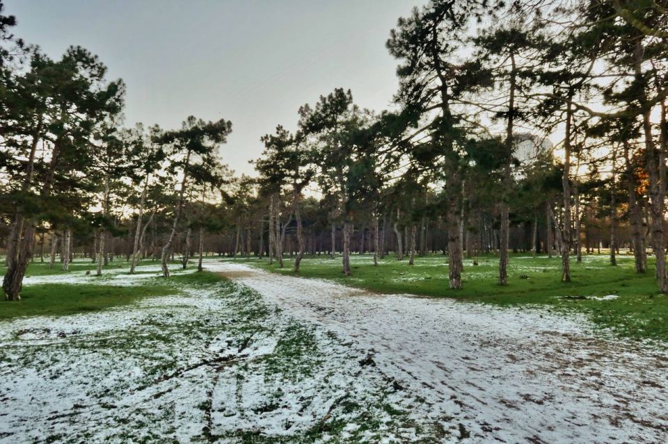 �������� ���� �������� ��� � �����