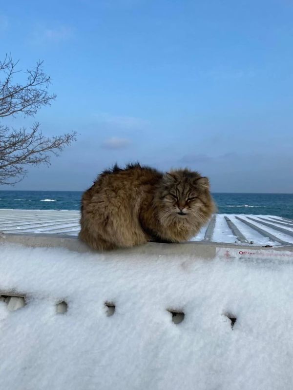 � ������ �������� ����� �������� ��������� �����������