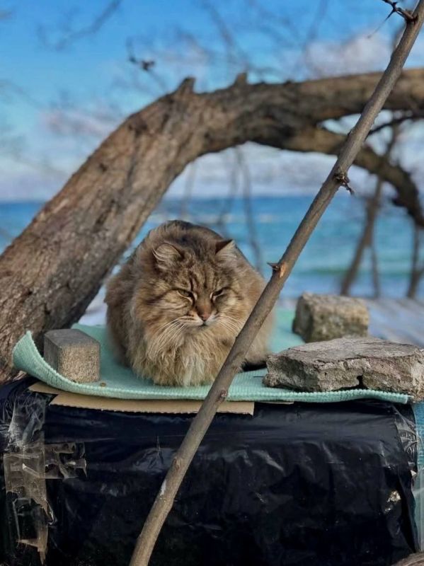 � ������ �������� ����� �������� ��������� �����������