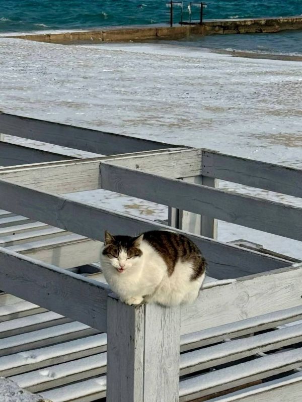 � ������ �������� ����� �������� ��������� �����������