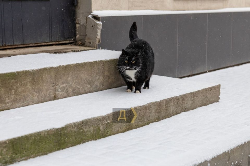 ������� ������ ����� ������� �� �������� ������