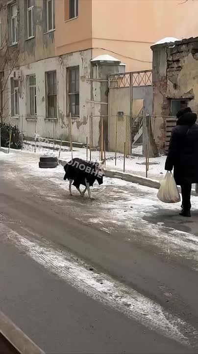 �������� �������� ��������� ���������