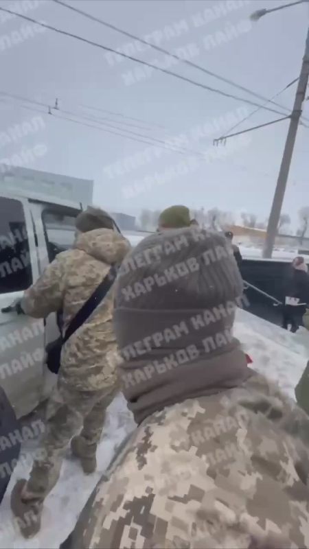 ������� ����������� �����. �������