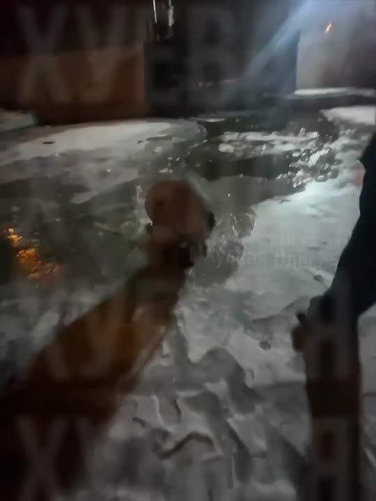 Подростки в Одессе пробили дно лёд и искупались