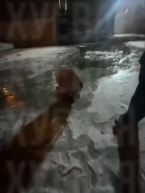 ��������� � ������ ������� ��� �� � ����������