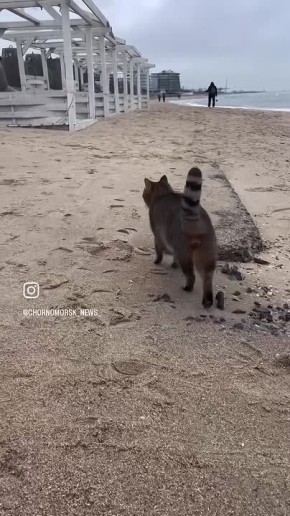 ��������� ������ ������������ � ������� ��������