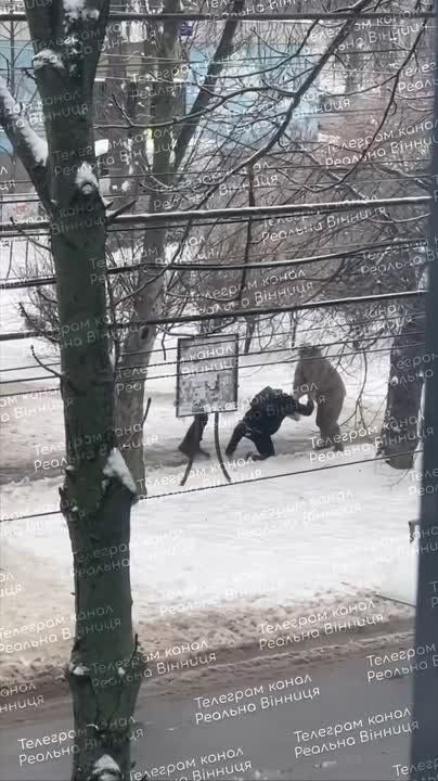 Хроника гражданской войны. Винница Людолов из ТЦК даже проверять ничего не стал — он просто увидел жертву и прыгнул на нее сзади