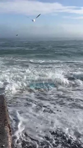 ������� ��� ��� ����� ��������� ������� ����