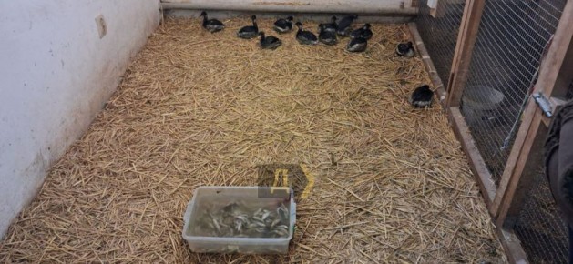 ����� ����� �� ����� ����� ��������� ������ ������������� �����