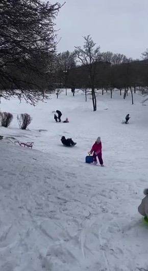 ������ ����, ������!. ������� �����������, 2 �������, ����� �������