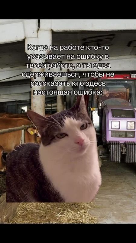 Вот мы и добрались до вечера понедельника!