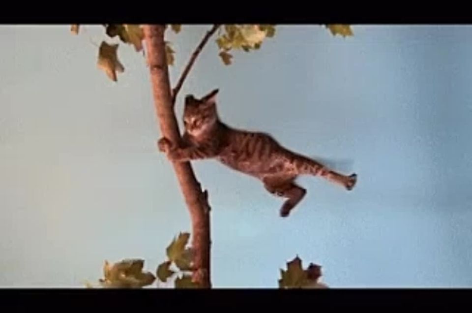 � �������� ������� �������� ��������� ��������������