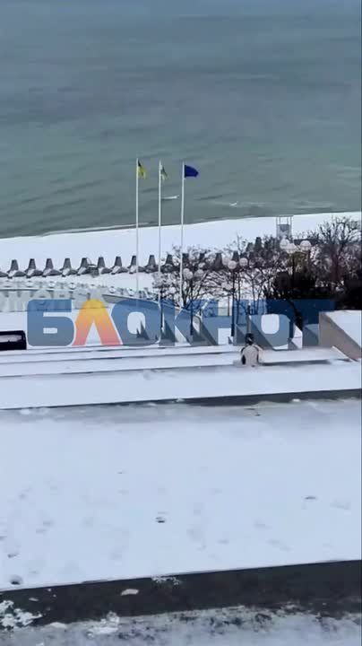 Парень в Одесской области молниеносно слетел с огромной лестницы