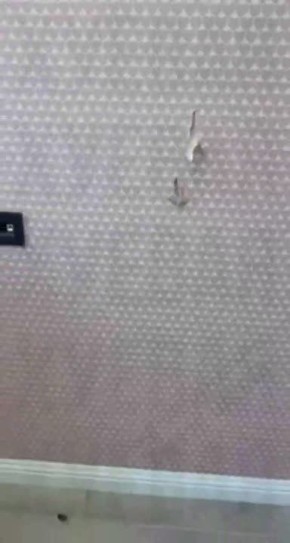 ������ ��� ����� ������ � �������� � ������