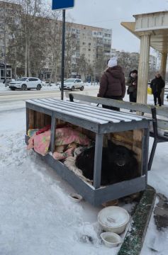 �������� �������� �������� �������� ������