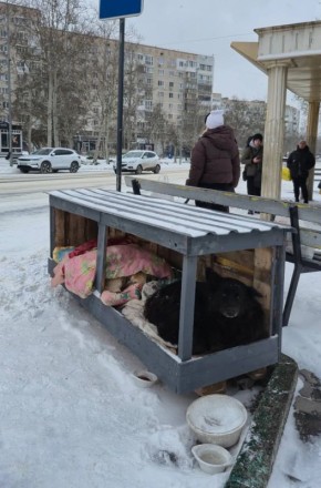 �������� �������� �������� �������� ������