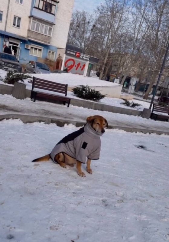 �������� �������� �������� �������� ������