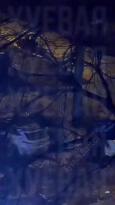 � ������ ����� ������ ������� ��������� ��������-�������� ���������� ������������