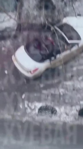 � ������ �������� ���������� ������������, ��������, ����������� � ������ ����������