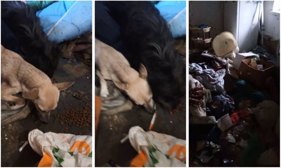 � �������� ������� �� ����-������ ������ ������ � ���� �����