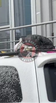 �� � ���� � ������ ���� ������ ������