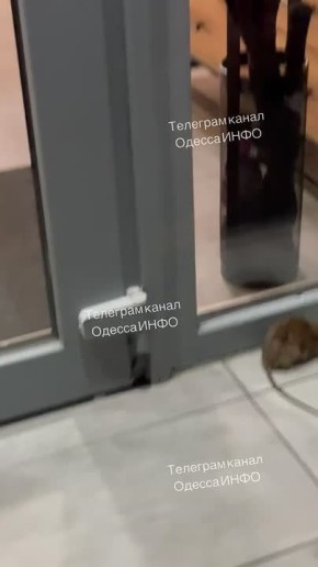 �� ������ ������� ����� � �� ������ �����