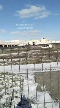 ����� ���������. ������, �/� ArtVille �������� �� ��� ����� �������� ����������� ������� � ������ 5 ����������� ��������� �� ������ ��������