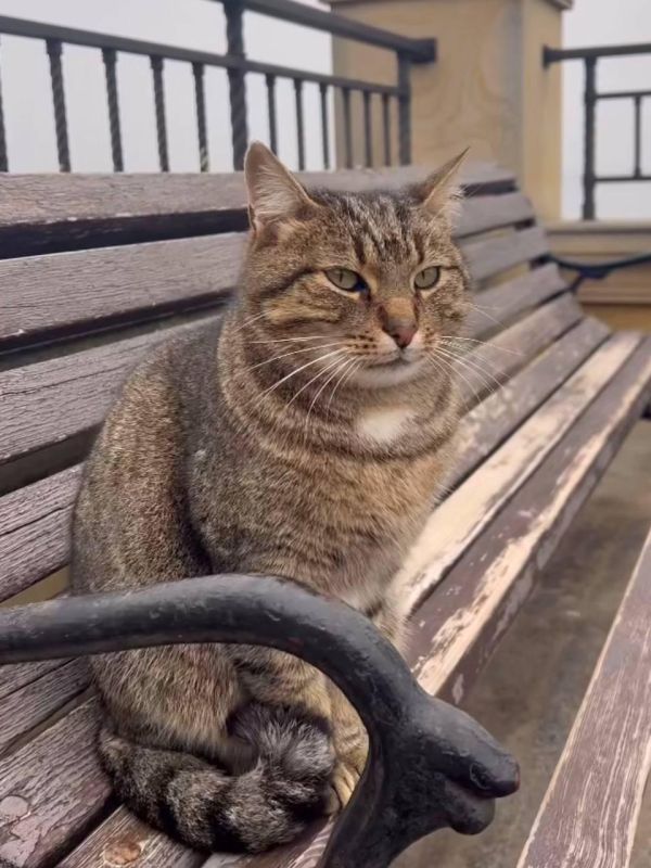 Сегодня отмечается День Домового Сегодня отмечается День Домового