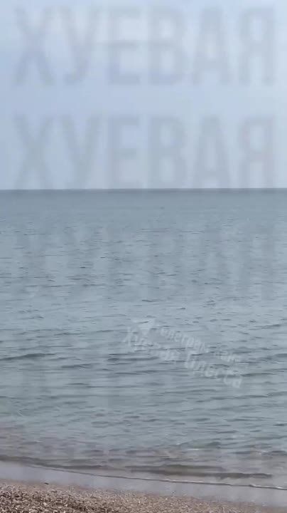 ���������� ��������� � ������ ��������