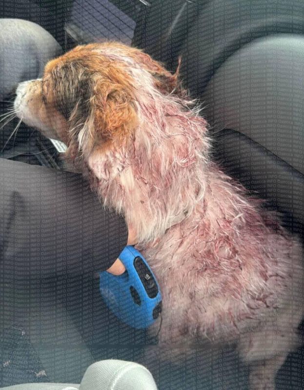 �������� � ������ ������� ��������� ��������� ������ ������, ������� �� ������� ����������������