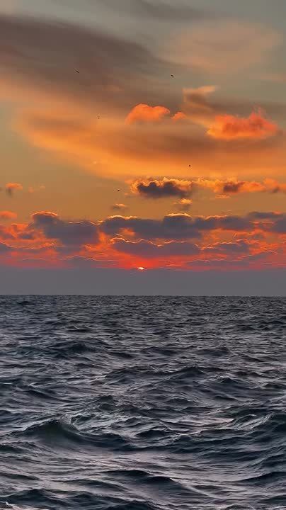 ������ ����, ������!. ������� �������, 12 �������, � ������ ����� �� ������