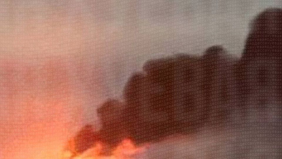 � ������ ����� ����� ������ ����� ����������