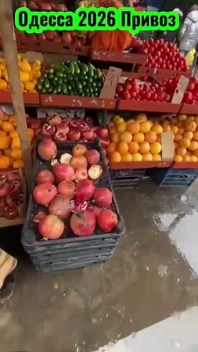 ��������� ������� �����-����� ��� �� �������