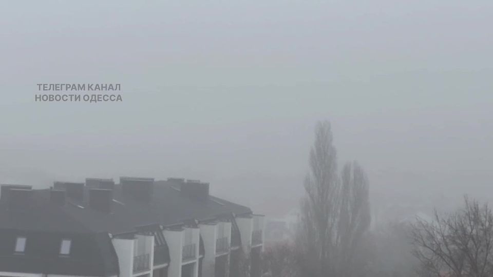 ������ ������ ������ �����