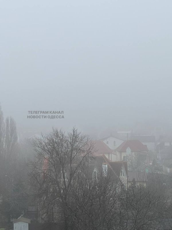 ������ ������ ������ �����