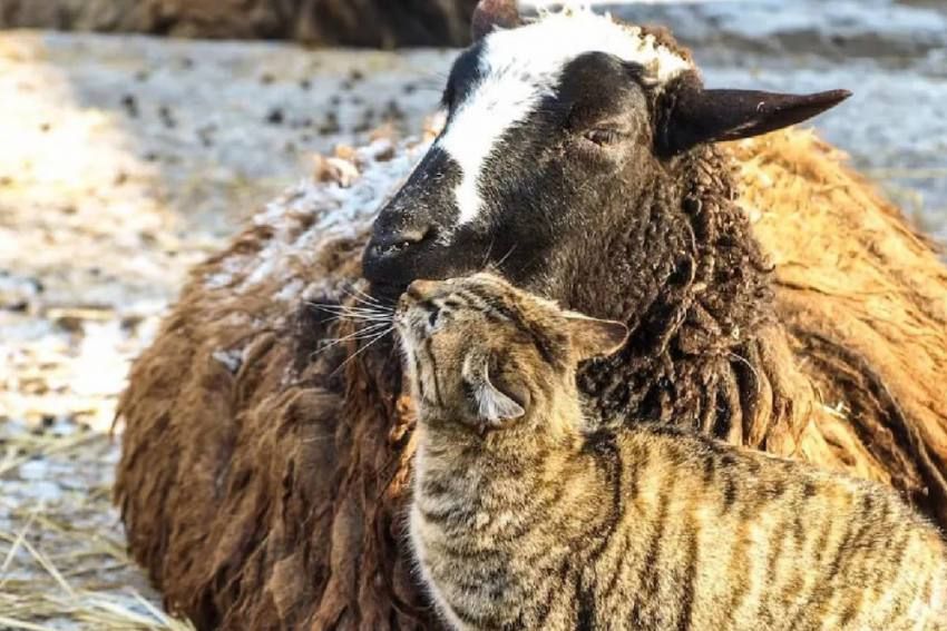 ����� � ���� ����� ����� ���� � �������� ��������