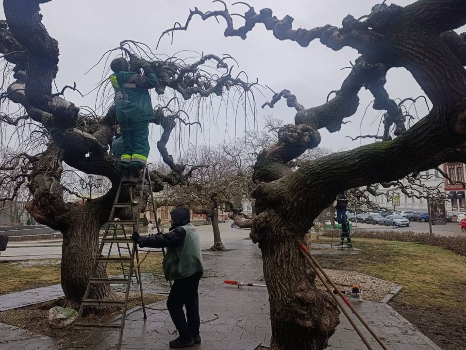 ������� �� ����������� ������� � ���� ���� ���������� 131 ���