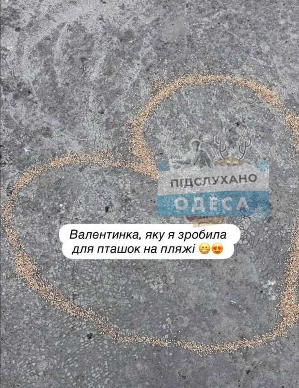 ���� ������ �� �������� ����� �������� ����������