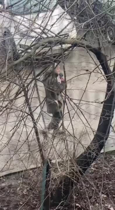 ТЦК в Одессе «продавали» картошку с громкоговорителя