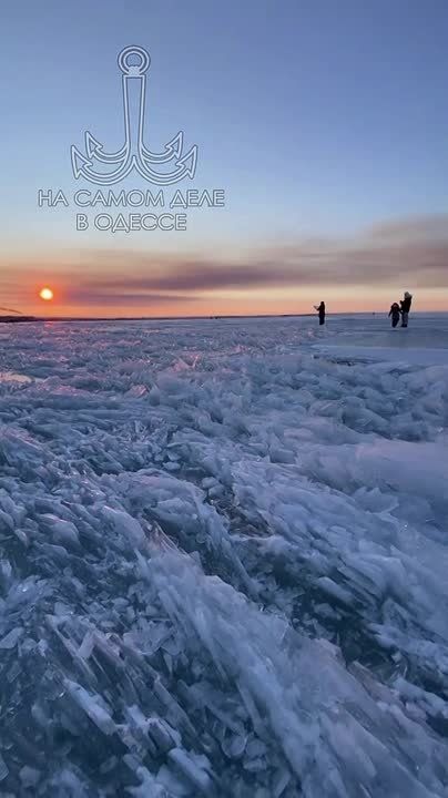 ������ ����, ������. ������� �����������, 15 ������� �����������: ���� ��������� +6��, ��������� ����� ��� +1��