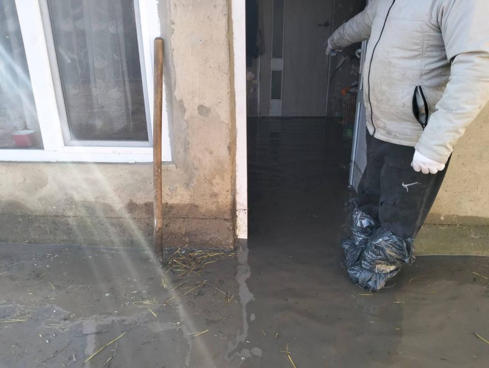 �� ������ ������� ��������� ������ ����� �����