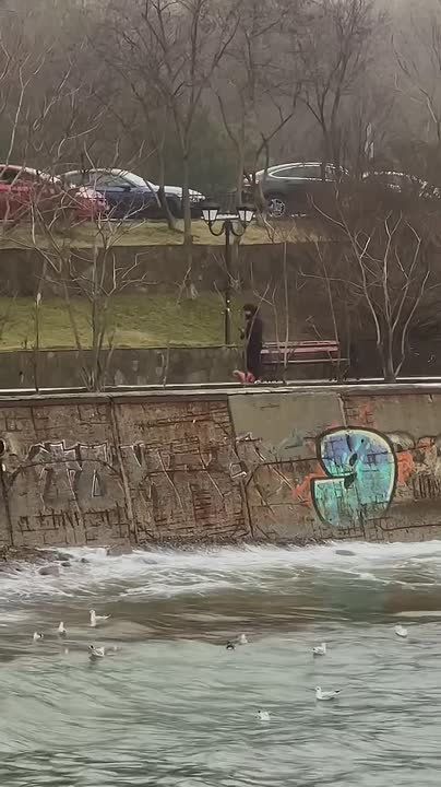 �������� ����������� ��� � �����