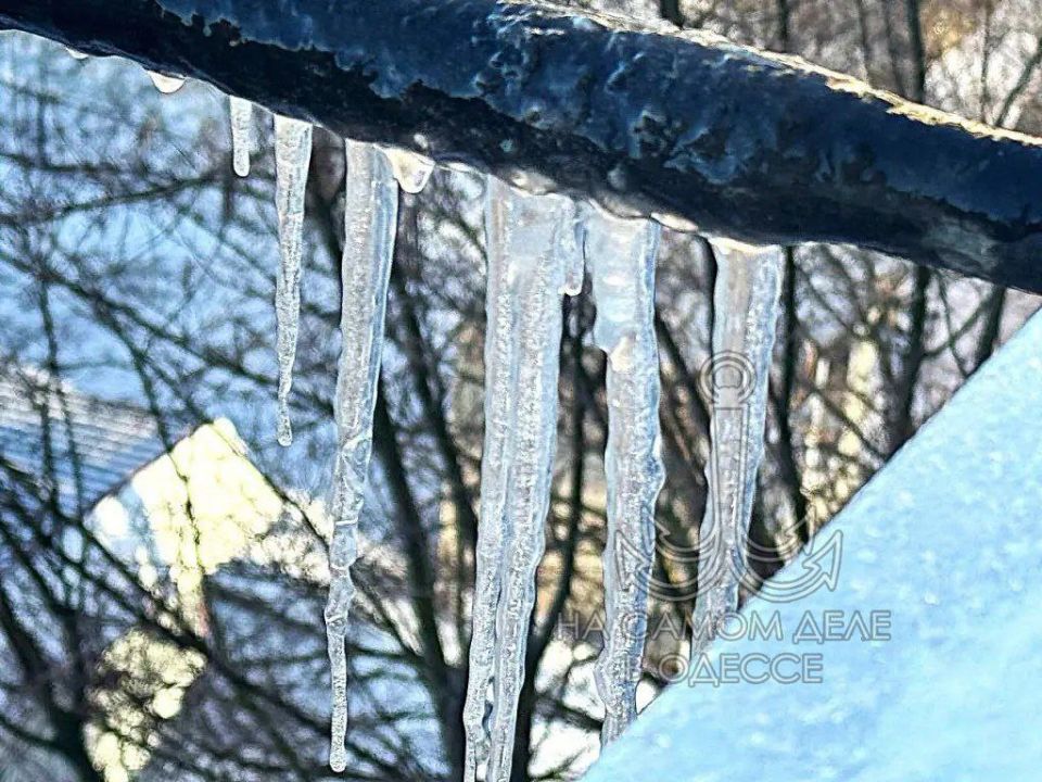 ��������, ��������! ����� ��� �������� ��������